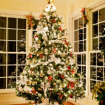 Tips for Professional Christmas Tree Lights